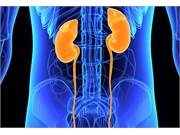 Virtual cross-matching may reduce cold ischemia time for donor organs in kidney transplants