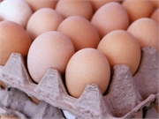 Moderate egg consumption is not associated with the risk for cardiovascular disease overall