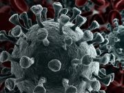 The World Health Organization on Wednesday officially declared the coronavirus outbreak sweeping the globe a pandemic.