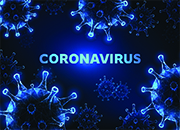 Common coronaviruses circulate seasonally
