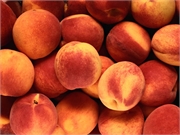 A Salmonella outbreak that has sickened 68 people in nine states may be linked to Wawona-brand bagged peaches sold at ALDI stores