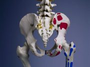The addition of lung-specific risk factors into fracture risk assessment tools may more accurately predict hip fracture risk in smokers