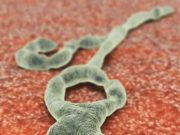 FDA Approves First Ebola Virus Treatment