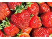 Organic Strawberries Linked to Hepatitis Cases