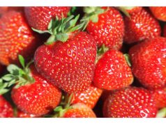 Organic Strawberries Linked to Hepatitis Cases