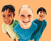 Estrogen May Lessen Cognitive Effects of Lead Exposure Estrogen and estradiol may help protect against lead's harmful effects on the frontal areas of the brain