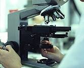 Varicella Zoster Linked to Giant Cell Arteritis New research links the varicella zoster virus to giant cell arteritis. The study was published online Feb. 18 in Neurology.