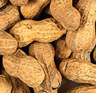 Consensus for Early Peanut Exposure in High-Risk Infants Infants at high risk for peanut allergies should be given foods containing peanuts before they reach the age of 1 year