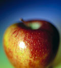 An Apple a Day May Keep the Pharmacist Away Apple eaters are less likely to need a prescription medicine