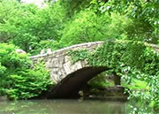 Sleep Quality Improved in Seniors With Access to Natural Spaces Seniors and men sleep more soundly if they have access to natural surroundings