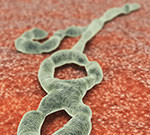 Article Details Decontamination Process After Ebola Care The Nebraska Biocontainment Unit has implemented a thorough process for decontamination after treatment of patients with potential or confirmed Ebola virus disease