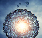 Embryo Cryopreservation Feasible for Women With Breast Cancer For women with breast cancer