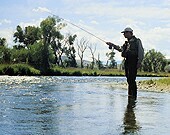 Two Cases Shed Light on Rare Algae-Related Wound Infection The cases of two men who got injured while participating in freshwater activities in Missouri and Texas are giving insight into a freshwater algae that can infect wounds. Reporting in the March 5 issue of the New England Journal of Medicine