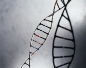 Breast CA Patients Want, but May Not Get, Genetic Risk Discussion Although many women with breast cancer are concerned about their genetic risk for other cancers -- as well as their relatives' risk for breast cancer -- almost half of these patients don't get information about genetic testing