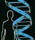 ‘Most Comprehensive Map’ of Human Epigenomes Presented Scientists have issued a comprehensive map of human epigenomes -- the range of chemical and structural shifts that determine how genes govern health. The group published the new map online Feb. 18 in Nature