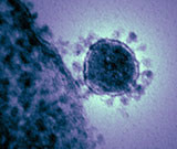 CDC Advises U.S. Health Professionals to Be Alert for MERS Government officials are advising U.S. health professionals to be alert for signs and symptoms of Middle East respiratory syndrome following an outbreak in South Korea.