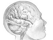 TBI Linked to Parkinson’s Risk in Patients Aged ≥55 Years Patients aged 55 years and older presenting to an inpatient/emergency department setting with traumatic brain injury have an increased risk of developing Parkinson's disease