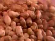 Eating Peanuts Aids Postprandial Triglyceride Response The inclusion of peanuts as part of a high-fat meal improves the postprandial triglyceride response and preserves endothelial function