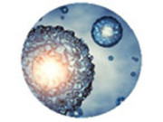 Sample: Immuno-Oncology Brief – Oncology Series