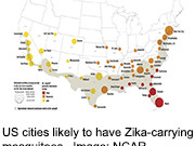 Predictions Made for Zika Arrival in U.S. Cities This Summer Some major U.S. cities