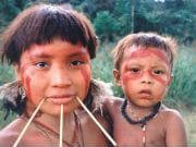 No Age-Related Increase in BP for Yanomami Community The Amerindian Yanomami community