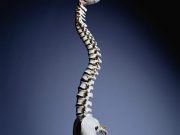 Obstructive Sleep Apnea Tied to Worse Bone Health History of obstructive sleep apnea is independently associated with a higher risk for confirmed vertebral fracture