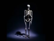 BMD Testing Rates Low in Men Initiating ADT for Prostate Cancer The rate of bone mineral density testing is low among men with prostate cancer initiating androgen deprivation therapy