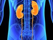 Immunotherapy Combo Treats Advanced Kidney Cancer Nivolumab combined with cabozantinib is superior to sunitinib alone for the treatment of advanced clear cell renal cell carcinoma
