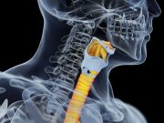 Surgeon Charged With Aggravated Assault Over Windpipe Transplants Charges of aggravated assault have been filed against a surgeon once hailed for creating the world's first windpipe partially made from a patient's own stem cells