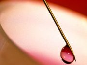 American Society of Hematology, Dec. 5-8 HealthDay Reports: Blood Type