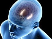 RSNA: Anxiety May Hasten Progression to Alzheimer Disease Deep-Learning Algorithm Helps Radiologists ID Cerebral Aneurysm