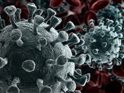 SARS-CoV-2 Seroprevalence Low in U.S. From July to Sept. 2020 SARS-CoV-2 Transmitted Despite Quarantine Conditions