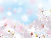 Pollen May Trigger Urologic Chronic Pelvic Pain Flares Could High Pollen Levels Trigger Urologic Pain?