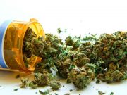 One in Five Allergy/Asthma Patients Report Cannabis Use
