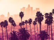 Air Pollution, Exercise Combined Affect CVD Risk in Young Adults