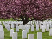 Latin America’s COVID-19 Death Toll Climbs Above 1 Million