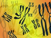 WHO Calls for Global Registry of Human Genome Editing