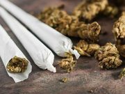 Teens’ Perceived Availability of Pot, Alcohol, Vaping Devices Down During Pandemic