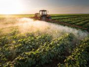 Pesticide to Be Banned Over Ties to Neurological Damage in Children