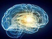 Dementia Risk Score Linked to MRI Markers of Brain Atrophy