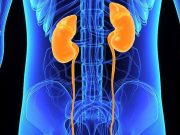 Vitamin D Does Not Impact Kidney Outcomes in Prediabetes