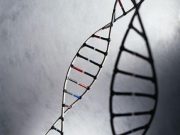 Genetic Risk for Psychiatric Disorders Linked to Brain Changes