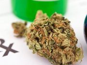 Whole-Plant Cannabis Effective, Tolerated for Pediatric Epilepsy