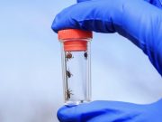 WMS Issues Guidelines on Tickborne Illness in the U.S.