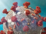 Casirivimab + Imdevimab Prevents Progression to Symptomatic COVID-19