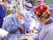 Scientists Create ‘Universal’ Donor Organs Where Blood Type Does Not Matter