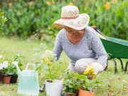 Higher Daily Life Movement Cuts CVD Risk in Older Women