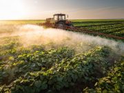 Impact of Method for Assessing Occupational Pesticide Exposure Examined