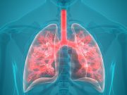 Recommendations Updated for Idiopathic Pulmonary Fibrosis Human Respiratory System Anatomy