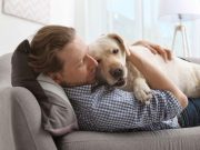 Closer Veteran-Service Dog Bond Tied to Lower PTSD Severity